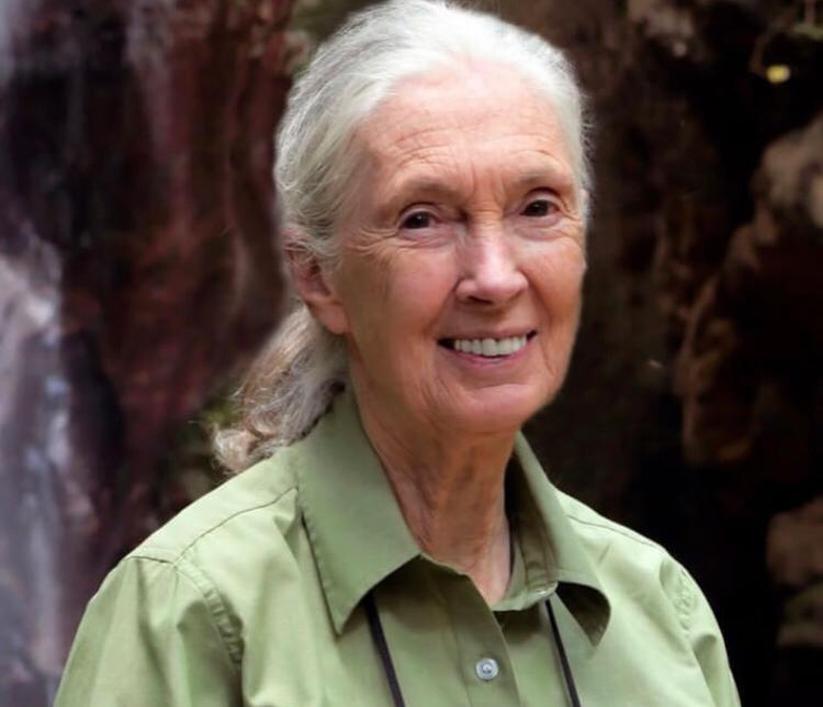 Mtafiti Maarufu wa Sokwe, Goodall Afariki Dunia