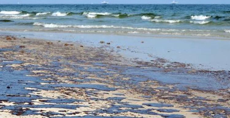 Mafuta Yazagaa Baharini Coco Beach