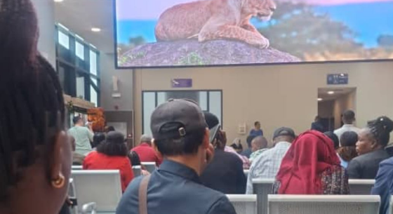 Abiria SGR Wasota Stesheni, TRC Yaelezea Sababu