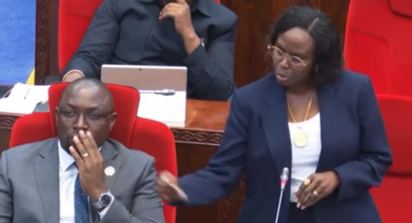 Heka 1 ya Parachichi Mkulima Anapata Dola 7000